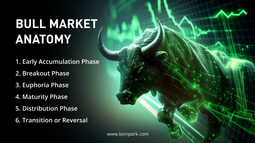 Bull market anatomy