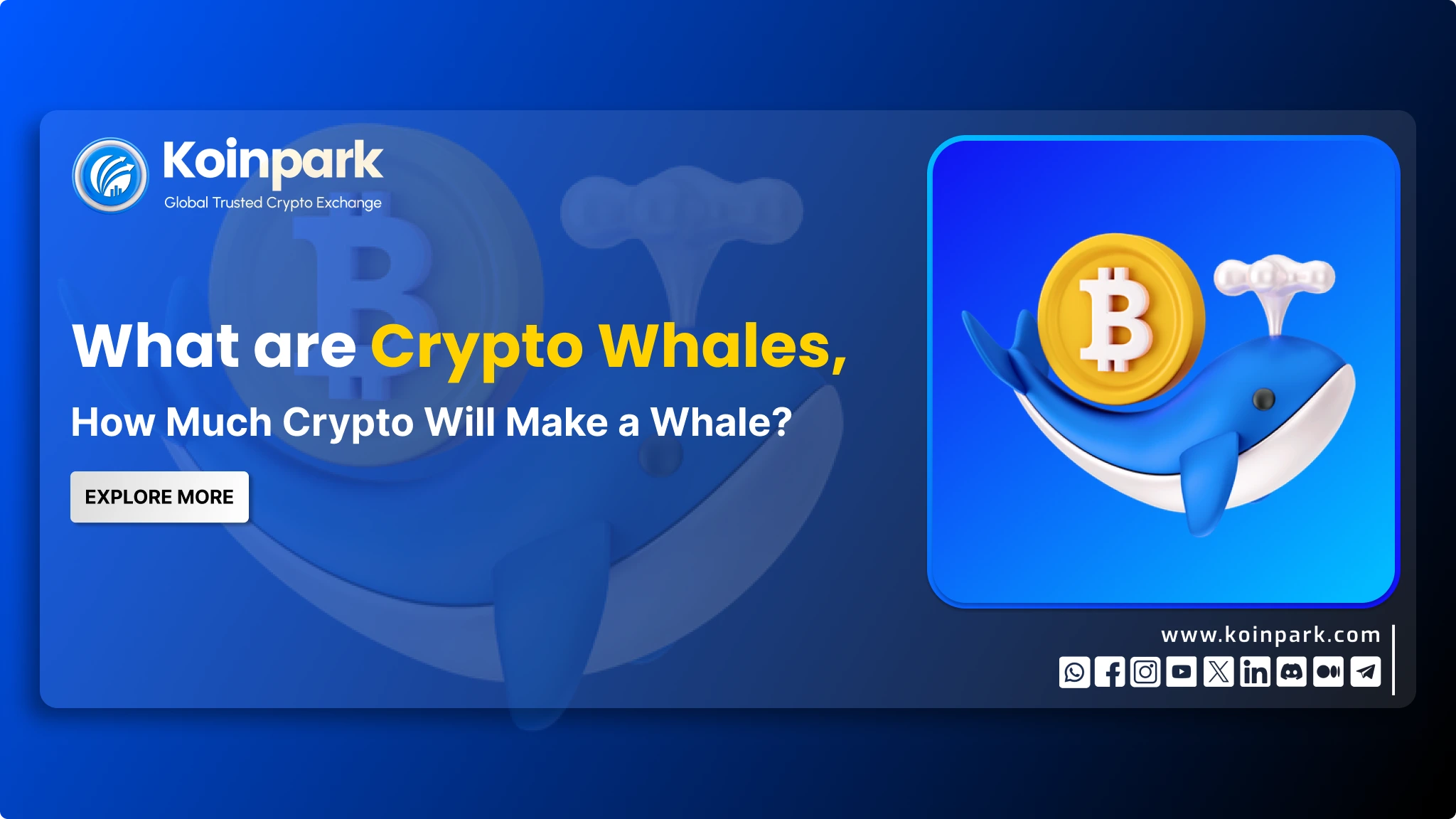 What are Crypto Whales | How Much Crypto Will Make a Whale