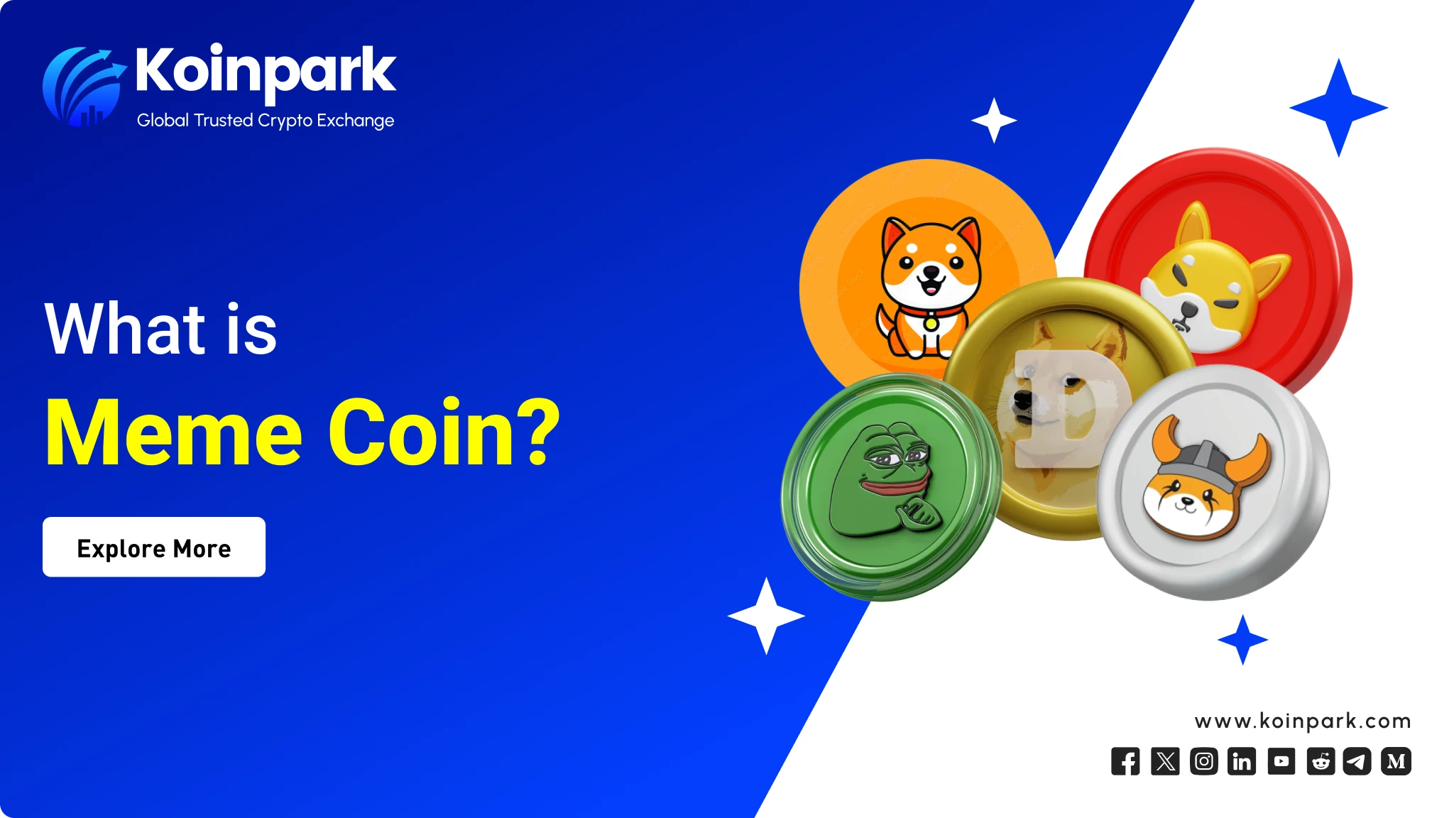 What is a Meme Coin?