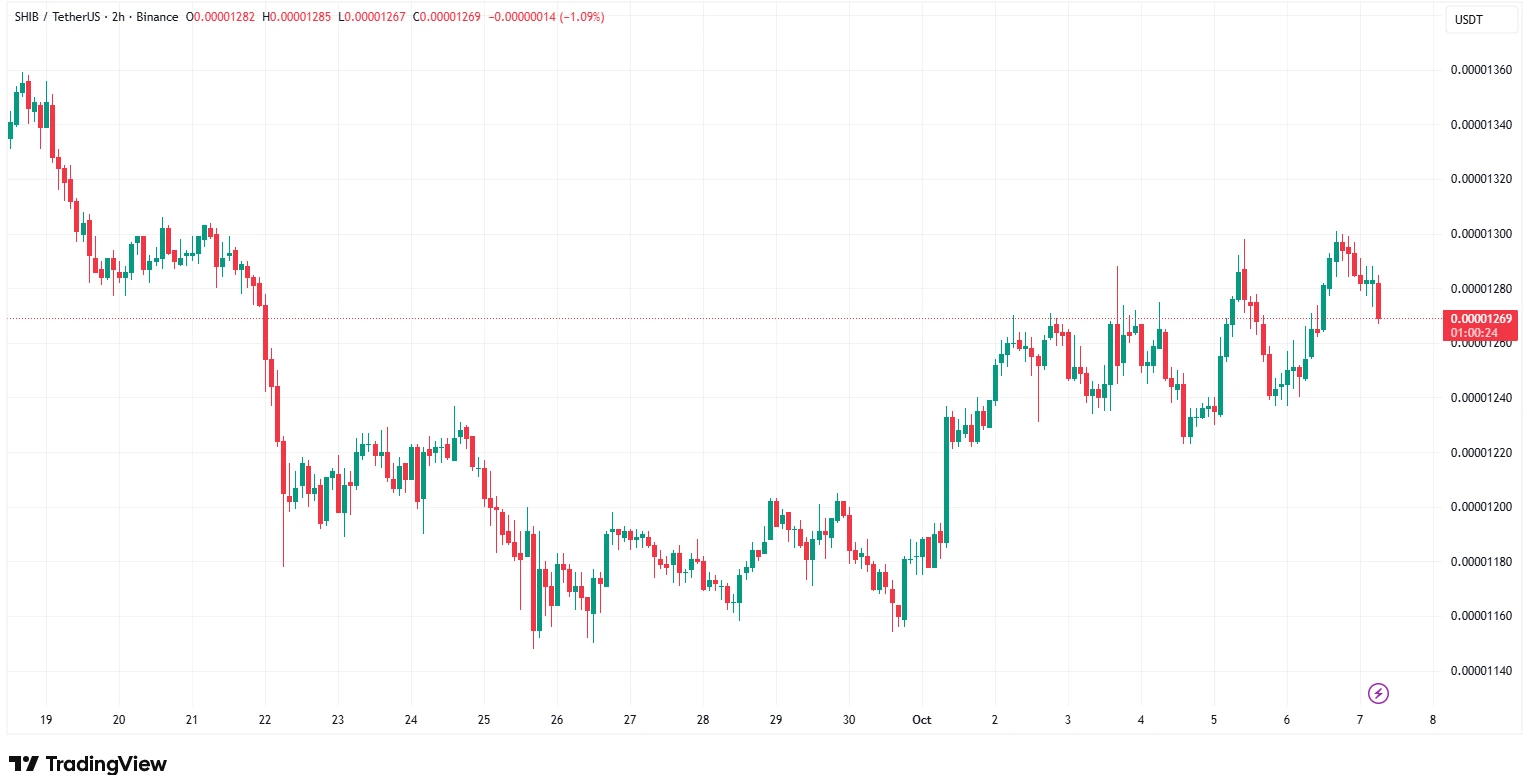 Is Shiba Inu a Good Investment?