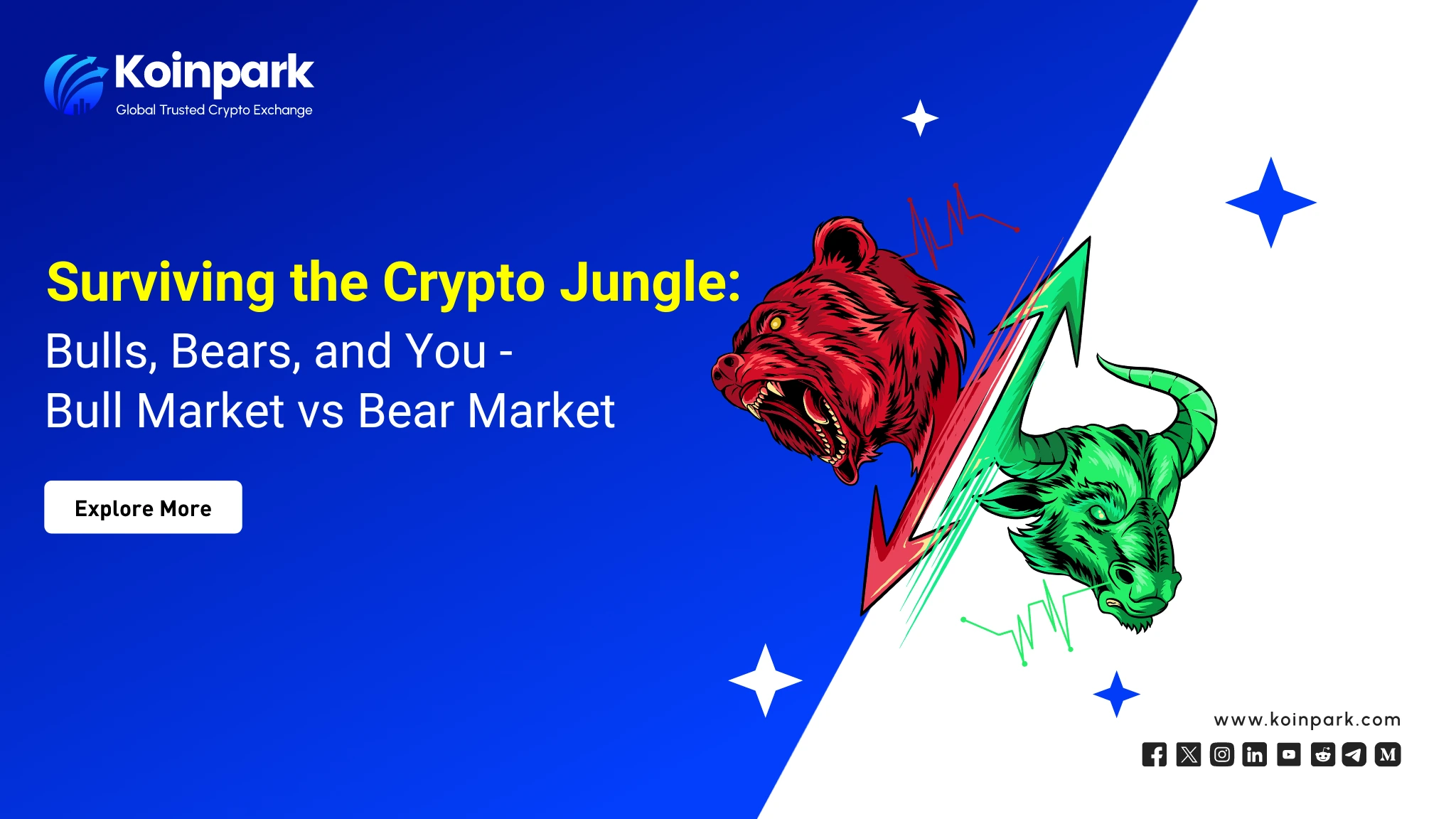 Bull Market vs Bear Market: Everything You Need to Know