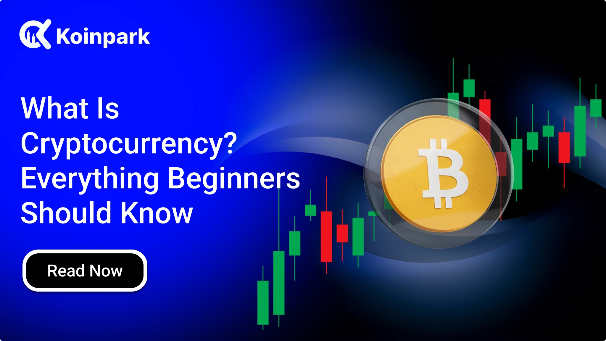 What Is Cryptocurrency? Everything Beginners Should Know