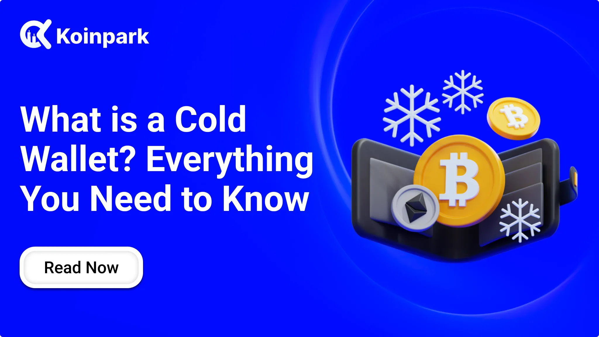 What is a Cold Wallet? Everything You Need to Know