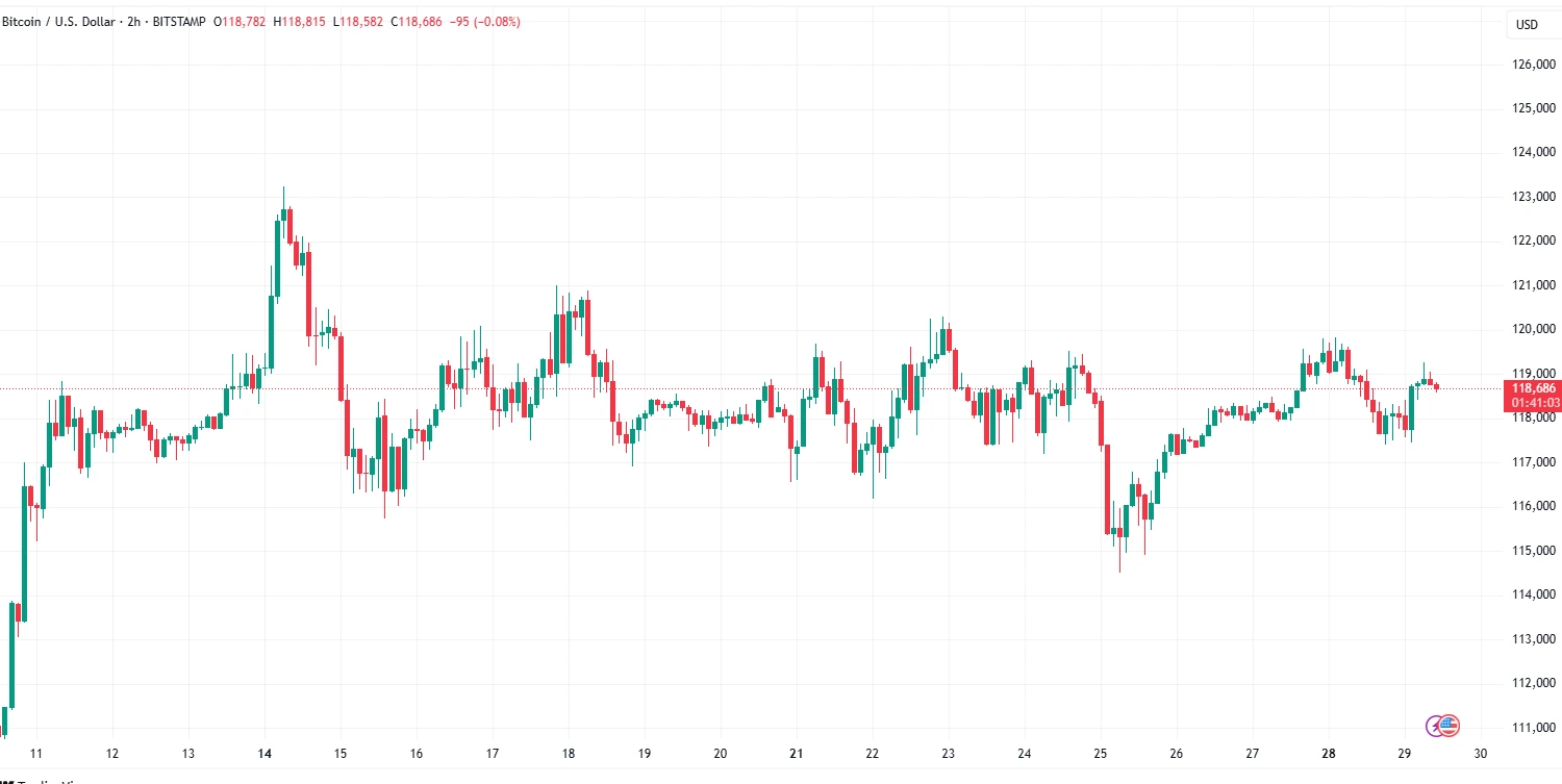 BTC USDT Chart